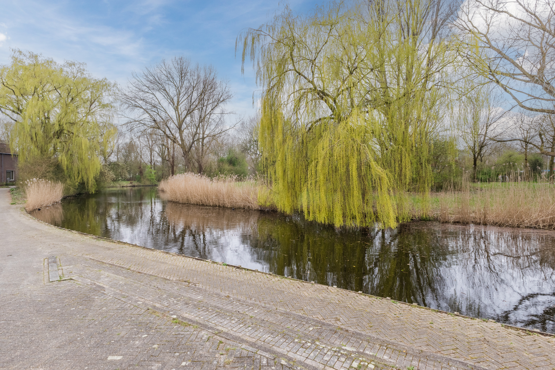 Alkmaar – Pimpelmeesstraat 1 – Foto 49