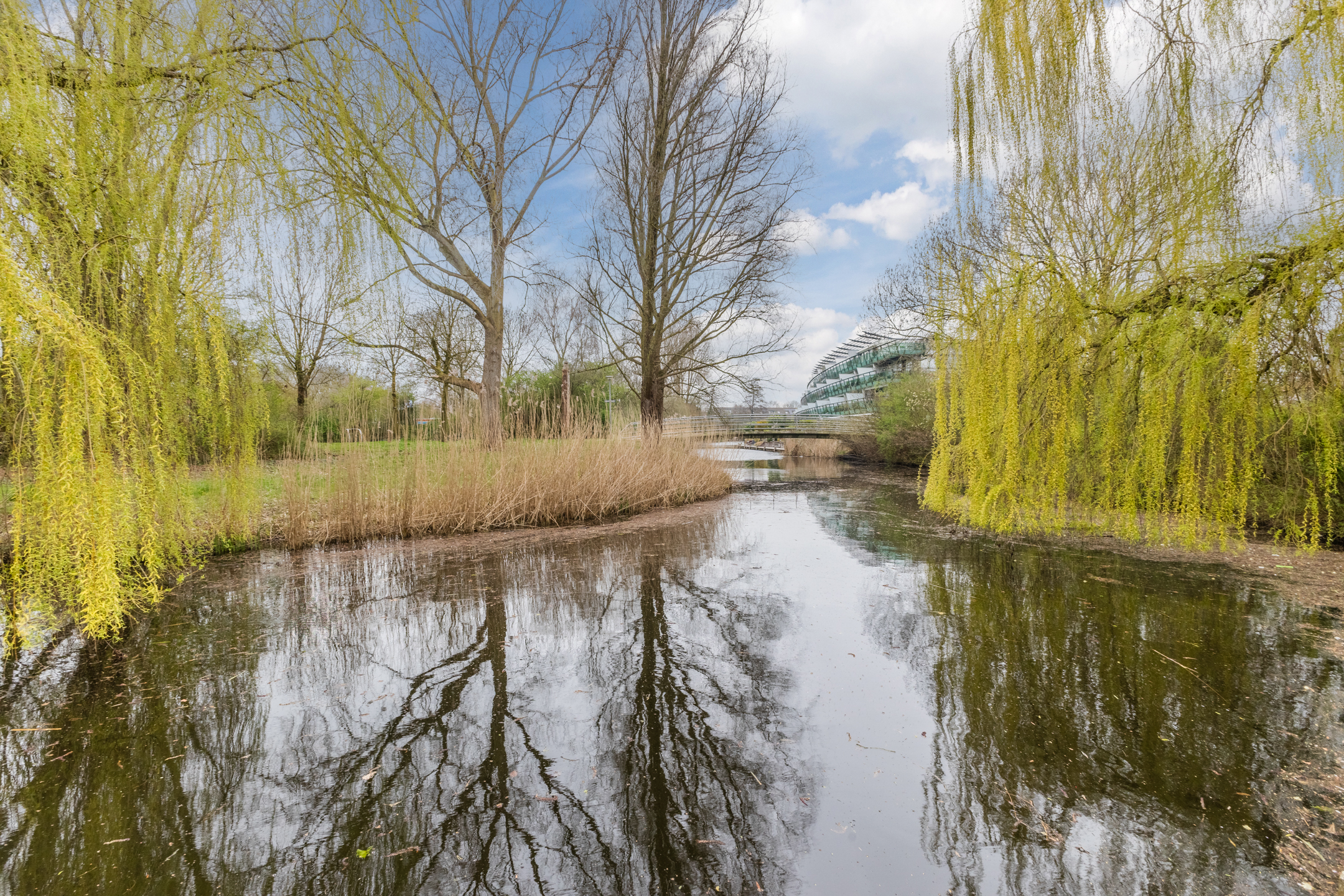 Alkmaar – Pimpelmeesstraat 1 – Foto 50