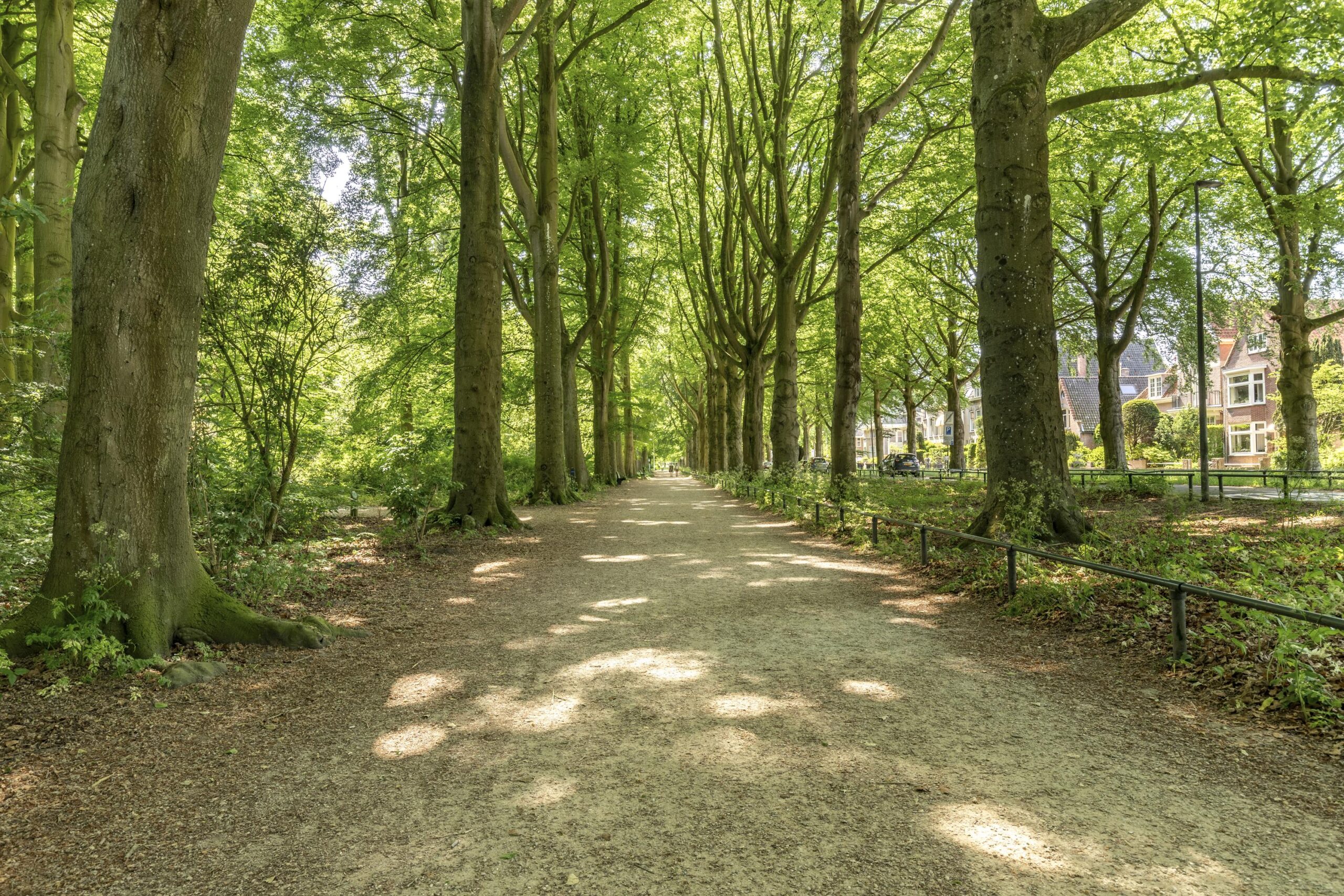 Alkmaar – Emmastraat 7 – Foto 65