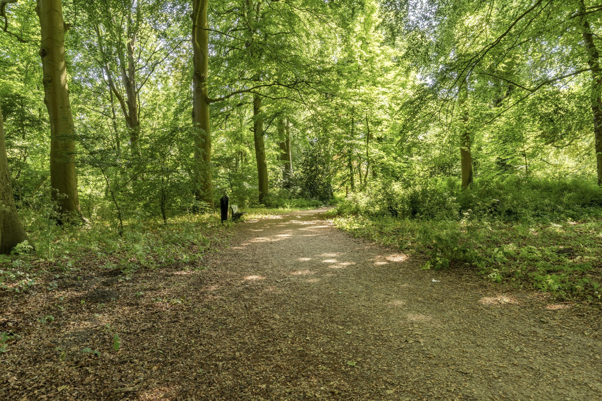 Alkmaar – Emmastraat 7 – Foto 64