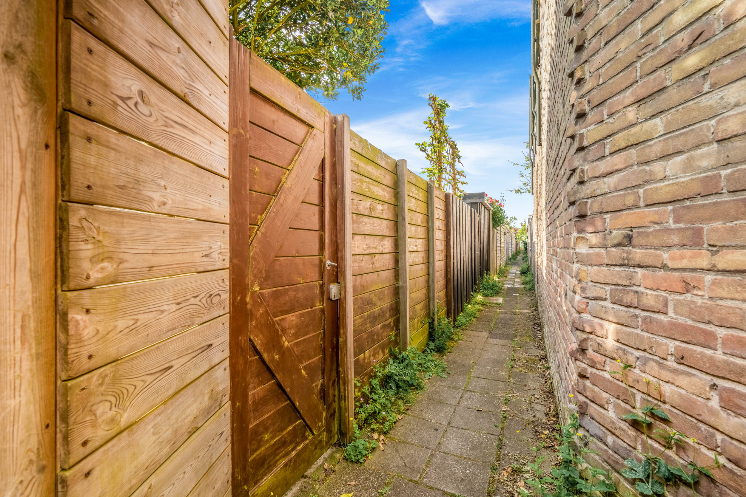 Alkmaar – Blaeustraat 31 – Foto 28