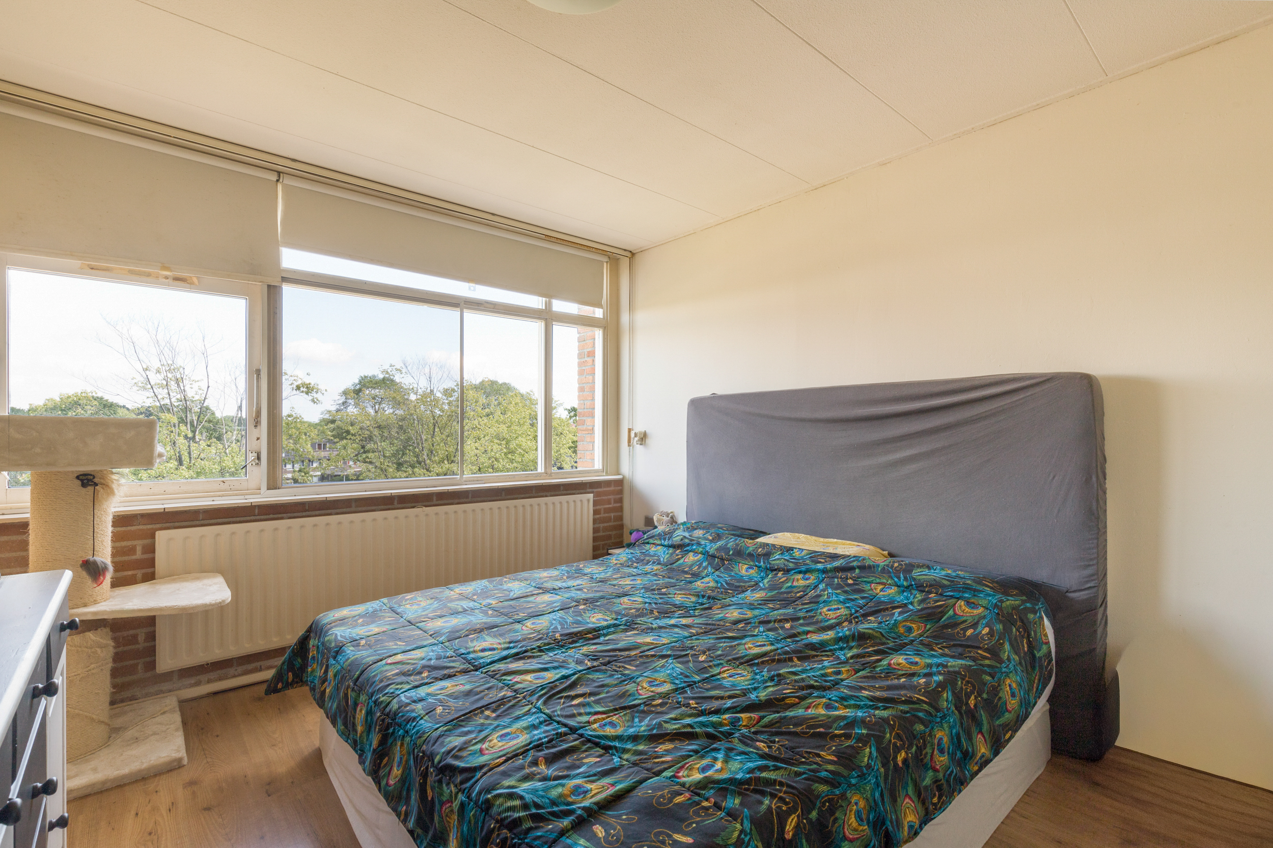 Alkmaar – Winkelwaard 335 – Foto 12