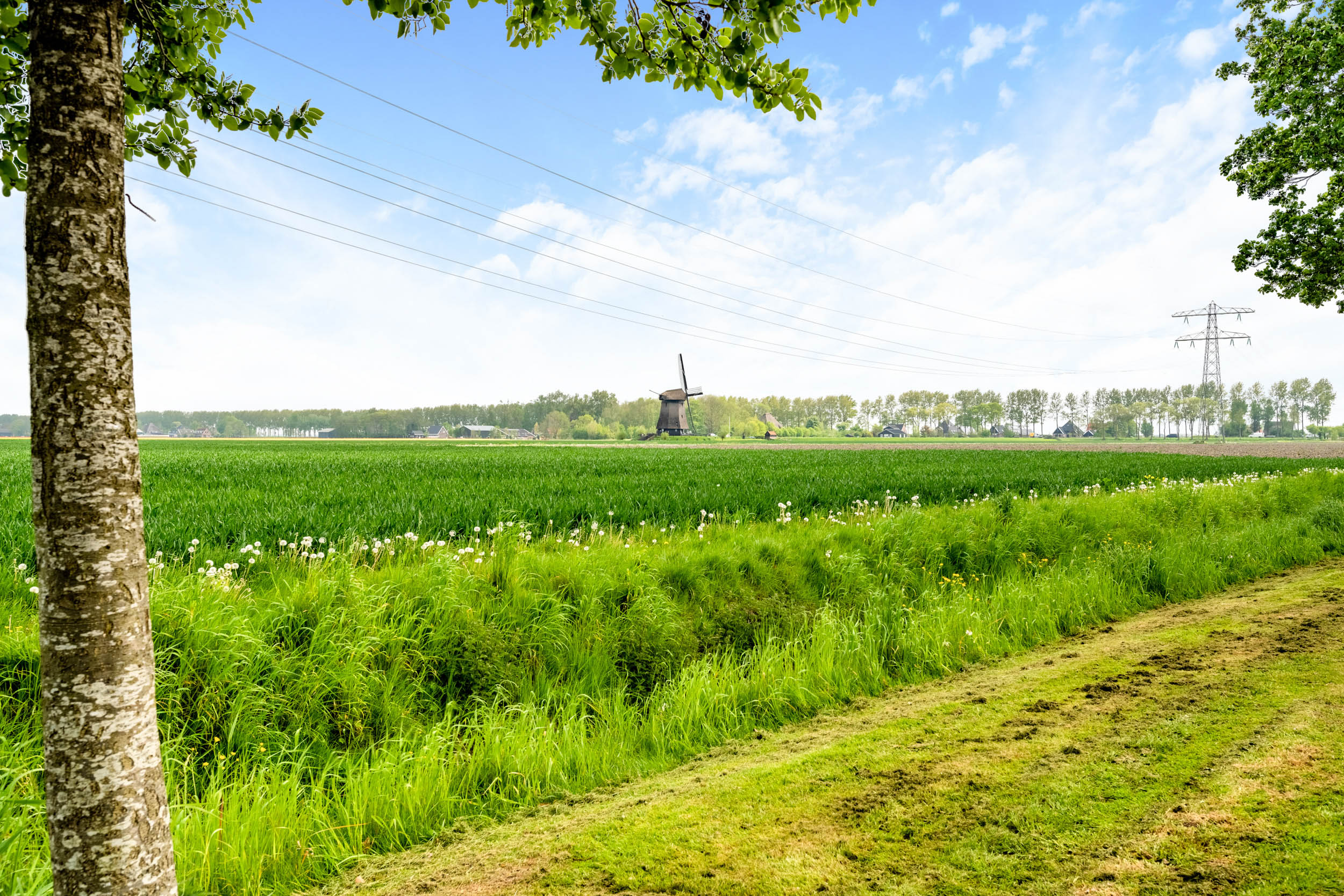 Stompetoren – Binnenkruier 96 – Foto 44