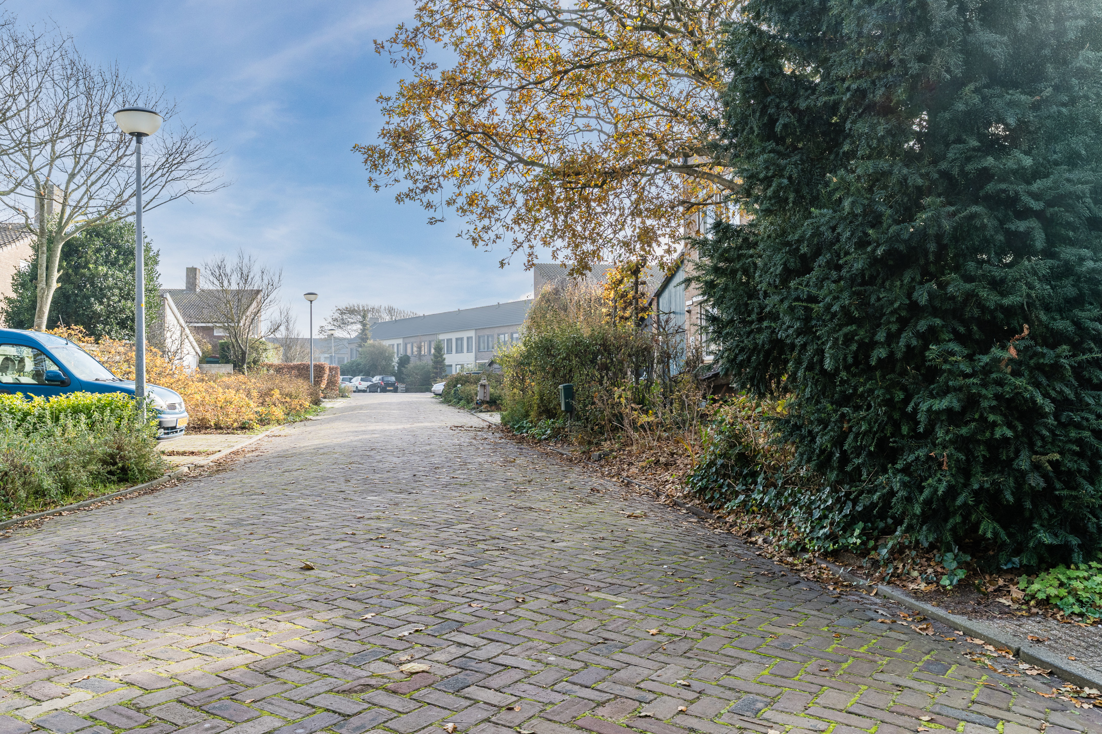 Petten – Ir. de Vassystraat 4 – Foto 15