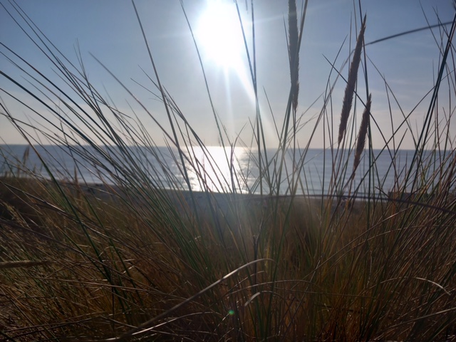 Petten – Ir. de Vassystraat 4 – Foto 41