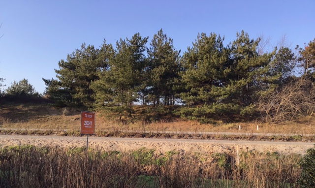 Petten – Ir. de Vassystraat 4 – Foto 60